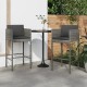 2 db szürke polyrattan bárszék párnával 2 db szürke polyrattan bárszék párnával