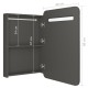 Antracitszürke led-es tükrös fürdőszobaszekrény 60x11x80 cm
