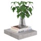 2 db betonszürke mdf lebegő fali polc 23 x 23,5 x 3,8 cm 2 db betonszürke mdf lebegő fali polc 23 x 23,5 x 3,8 cm