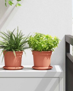 Kerek virág tálca 6 pcs tégla vörös ø 14 x 2 cm műanyag