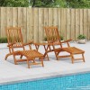 Függőágy és összecsukható napozóágy 2 pcs 55 x 146 x 91 cm