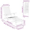 Függőágy és összecsukható napozóágy 2 pcs 55 x 146 x 91 cm
