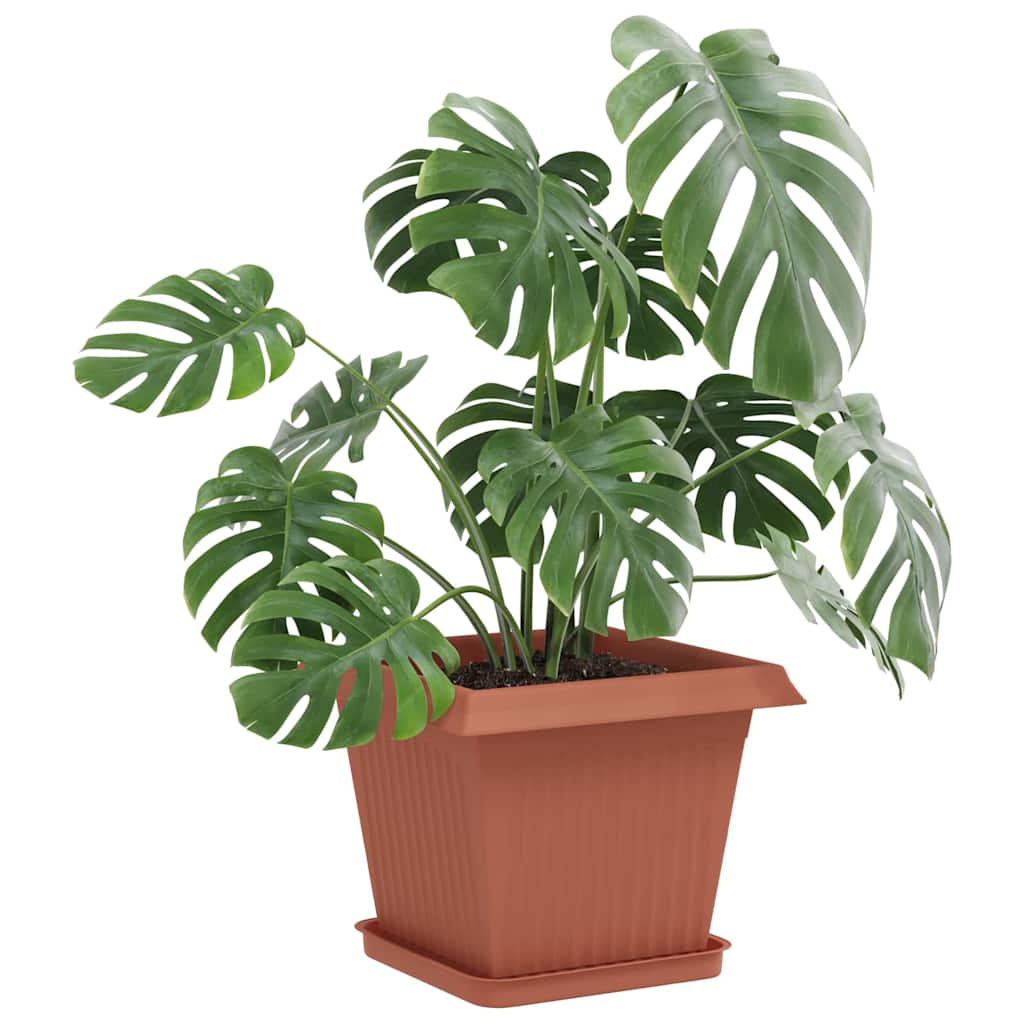 Négyzetes virágtálca 24 pcs tégla vörös 25,5 x 25,5 x 2,5 cm