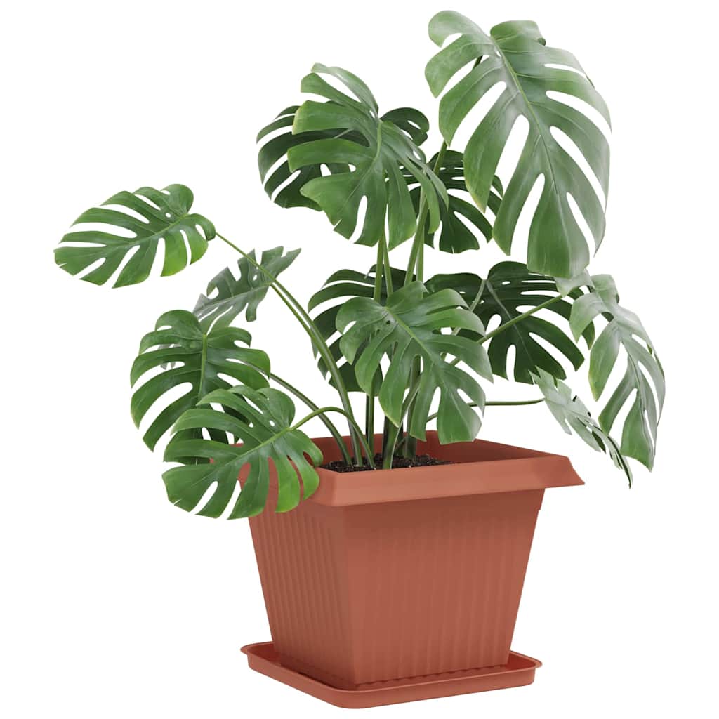 Négyzetes virágtálca 24 pcs tégla vörös 32 x 32 x 2,5 cm