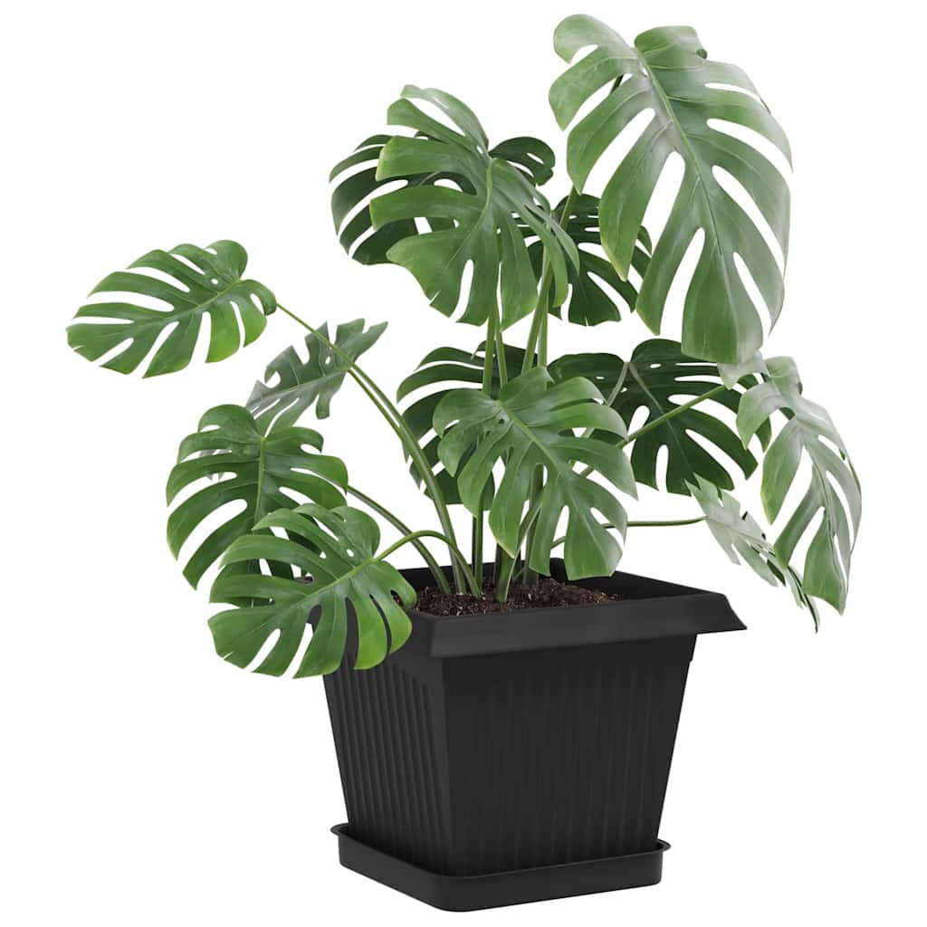 Négyzetes virágtálca 24 pcs fekete 15 x 15 x 2 cm műanyag