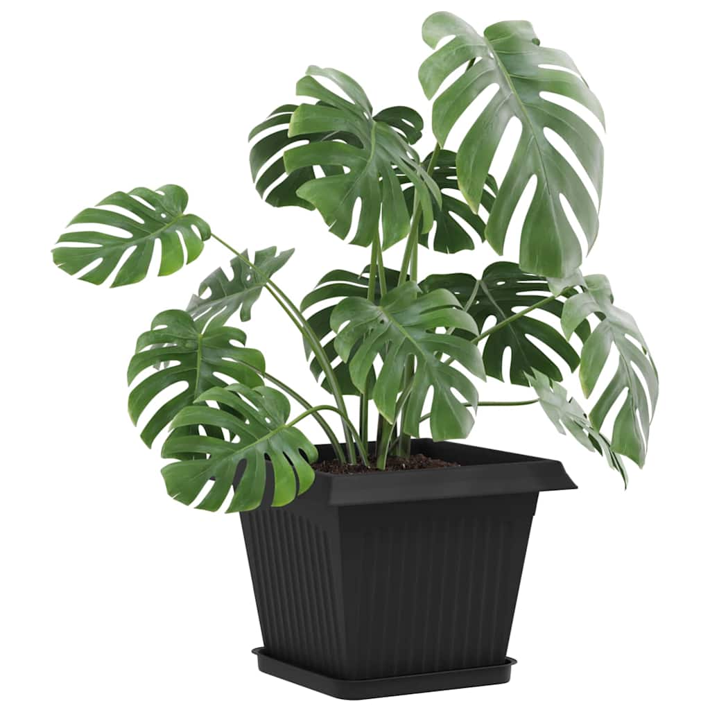 Négyzetes virágtálca 24 pcs fekete 21 x 21 x 2 cm műanyag