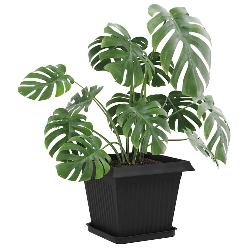 Négyzetes virágtálca 24 pcs fekete 25,5 x 25,5 x 2,5 cm műanyag