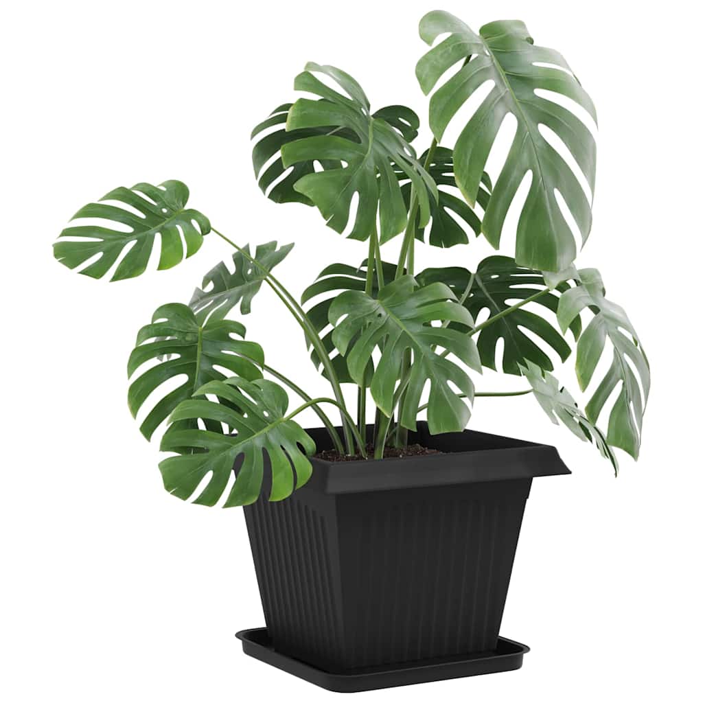 Négyzetes virágtálca 24 pcs fekete 32 x 32 x 2,5 cm műanyag