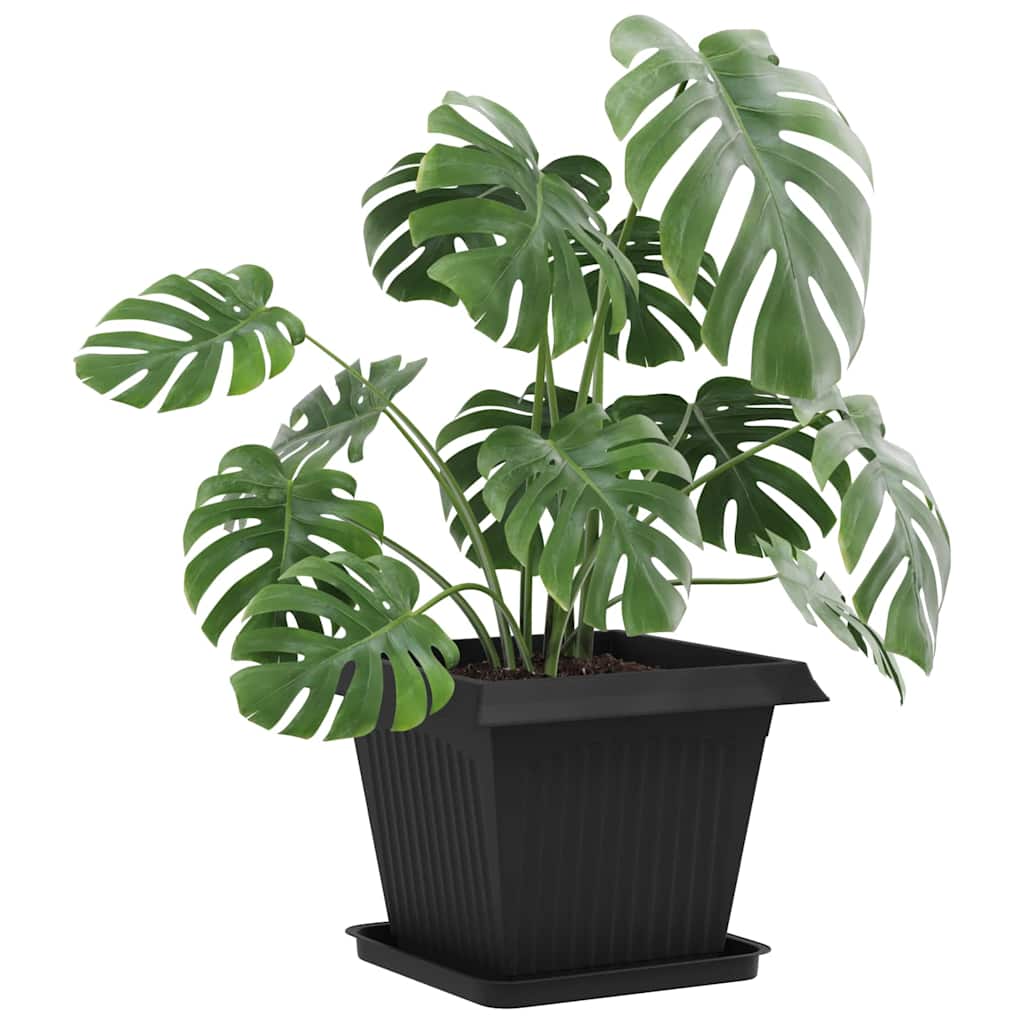 Négyzetes virágtálca 24 pcs fekete 36 x 36 x 2.5 cm műanyag