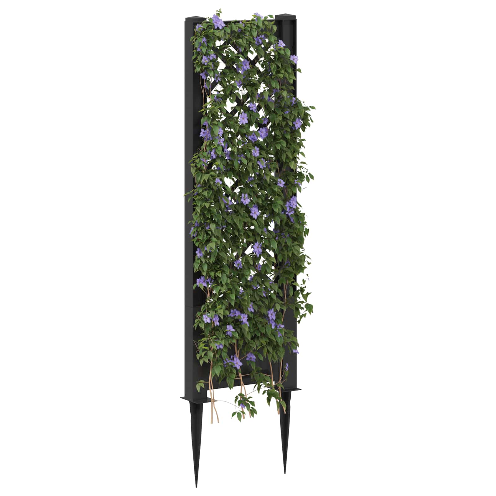 Trellis tüskével antracitszürke 43 x 6 x 165 cm pp